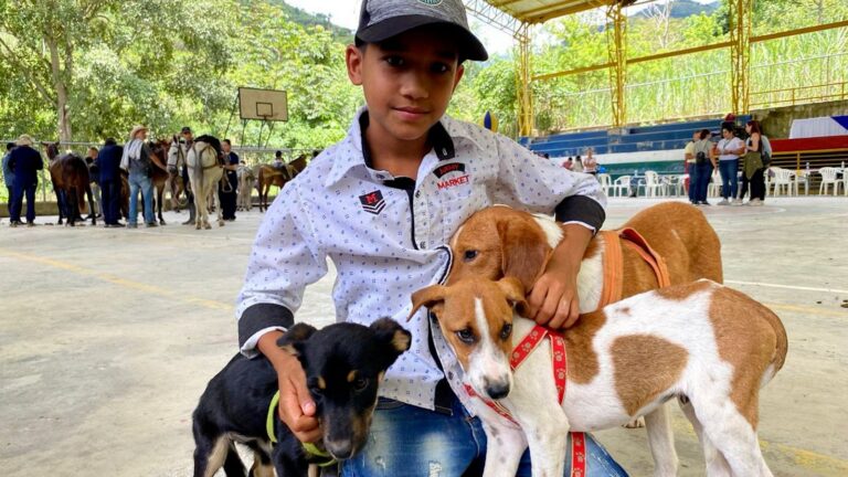 proteger a los animales