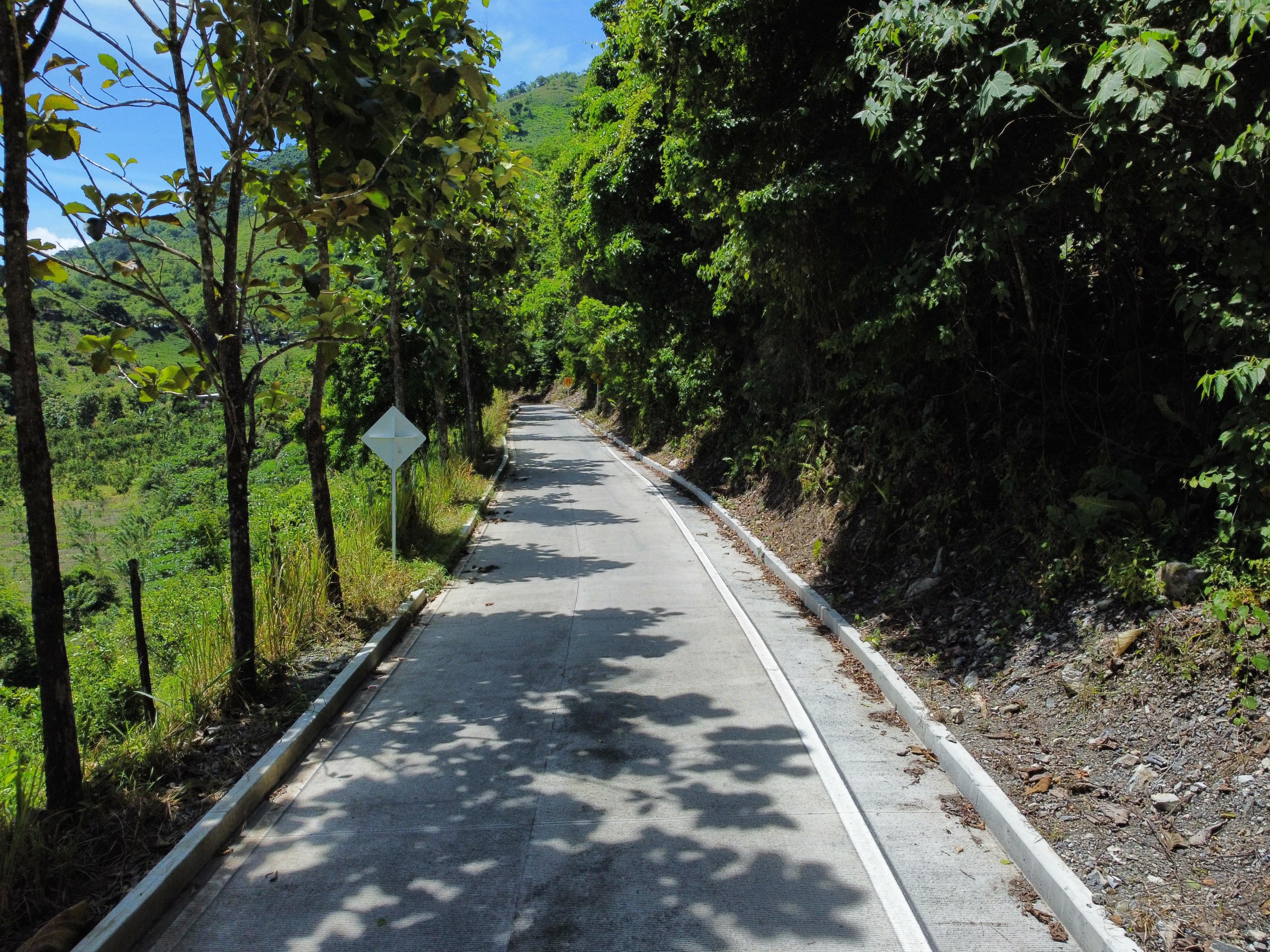 Maquinaria compacta pavimento en vía rural,