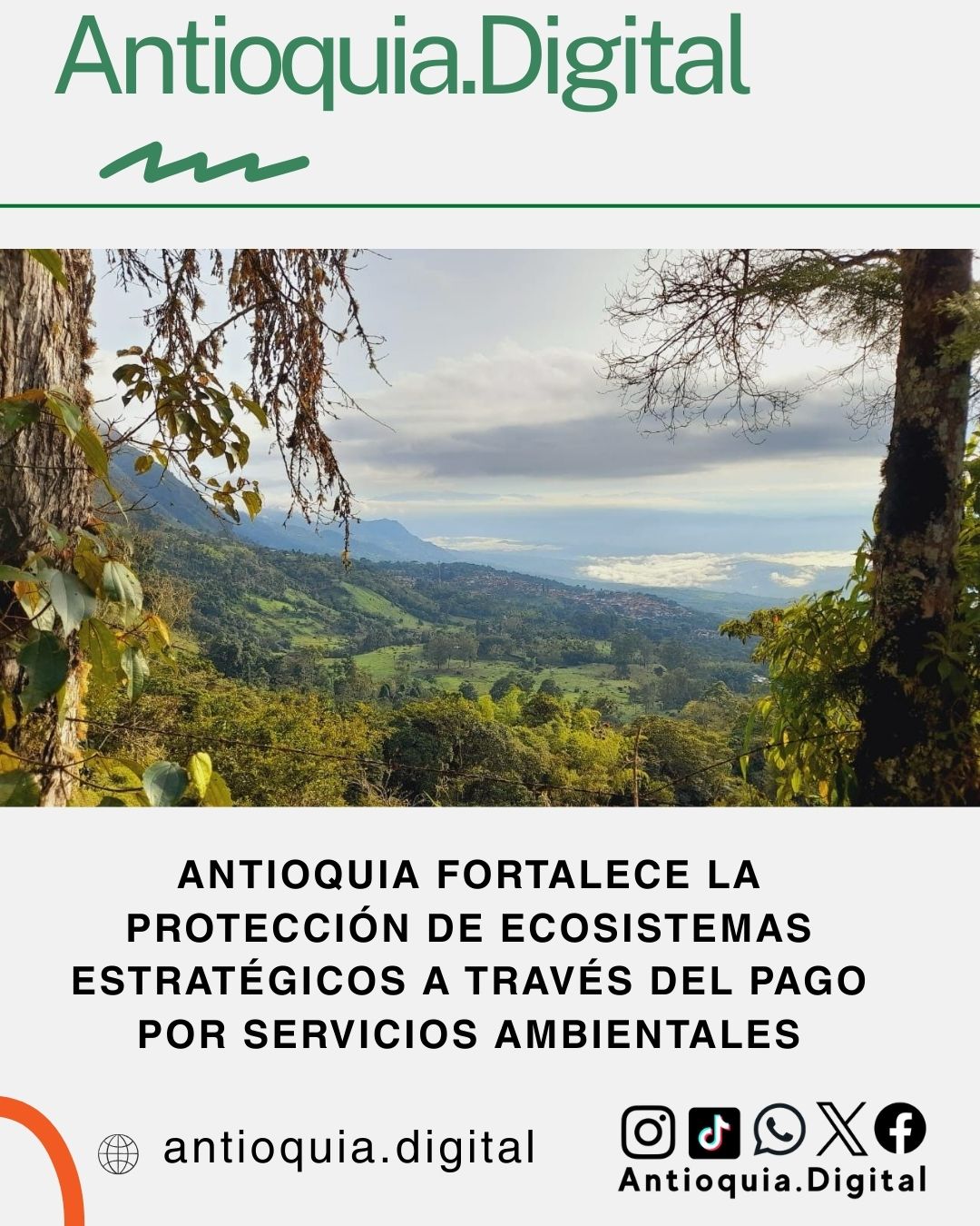 Antioquia protege ecosistemas con pago por servicios ambientales