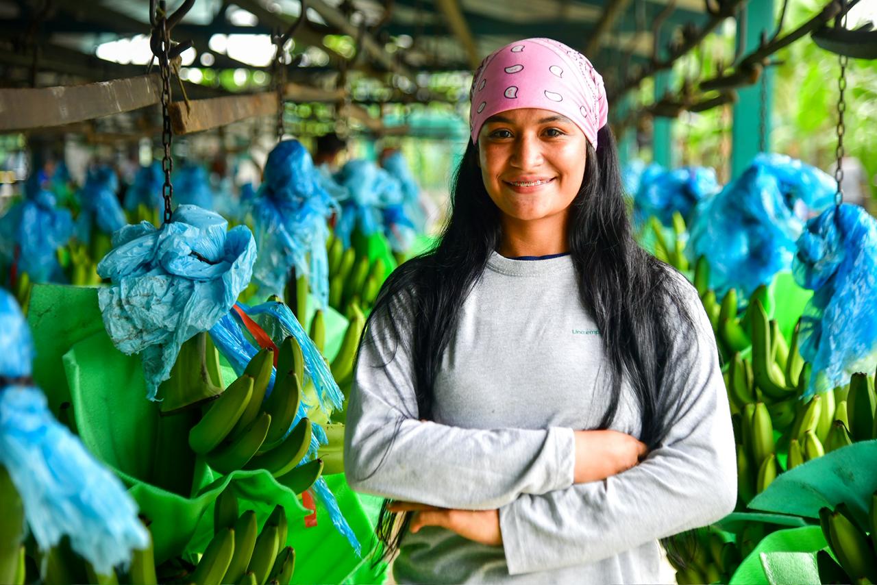 GreenLand Genera 43 Empleos Mujeres Urabá